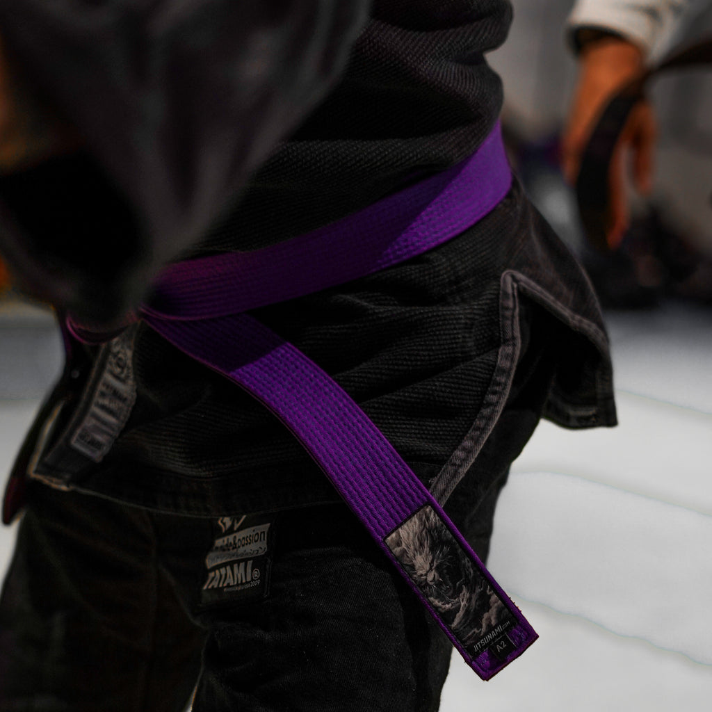 Purple belt in jiu jitsu best sale